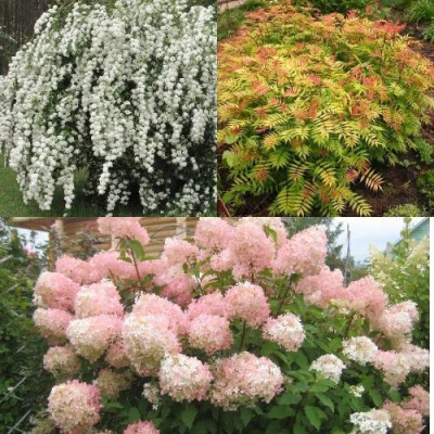 Комплект ФЕЙЕРВЕРК ЛЕТА в Барнауле