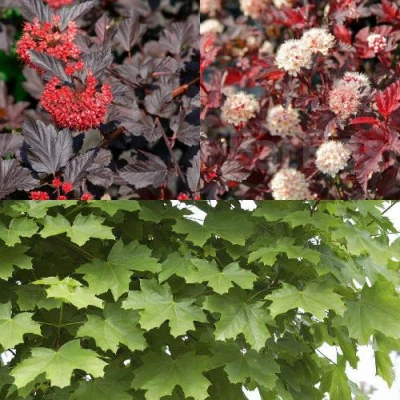 Комплект ОСЕННИЙ КОСТЕР в Барнауле