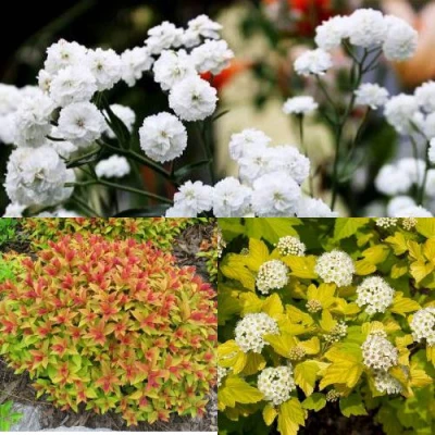 Комплект СОЛНЕЧНЫЙ МИКС в Барнауле