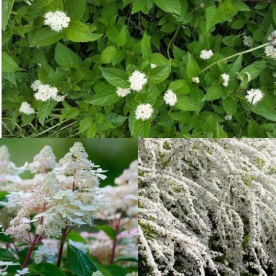 Комплект СКАНДИНАВСКИЙ СТИЛЬ в Барнауле