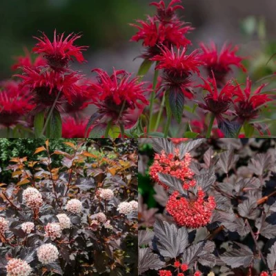 Комплект ОГНЕННЫЙ МИКС в Барнауле