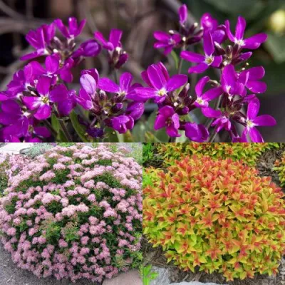 Комплект ЯПОНСКИЙ САД в Барнауле