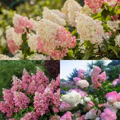 Комплект ЯГОДНОЕ МОРОЖЕНОЕ в Барнауле