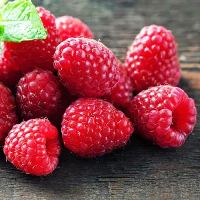 Малина ЭРИКА в Барнауле