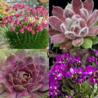 Комплект МИНИ САД в Барнауле