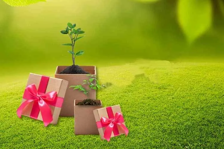 Подарок каждому покупателю! Подарок каждому покупателю!