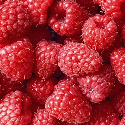 Летняя  Летняя в Барнауле